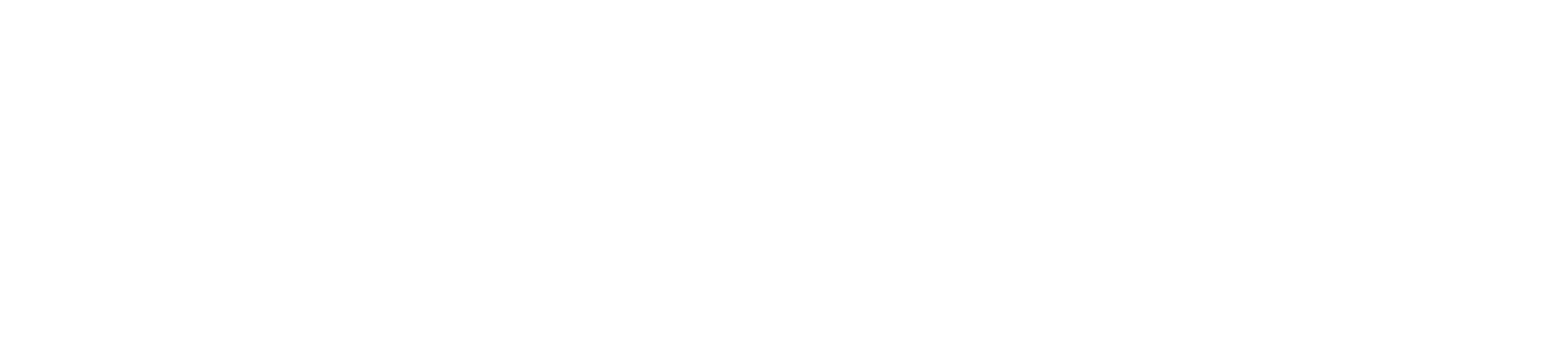 Zobaze POS